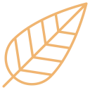 Orange outline of a leaf icon, symbolizing nature or eco-friendly branding